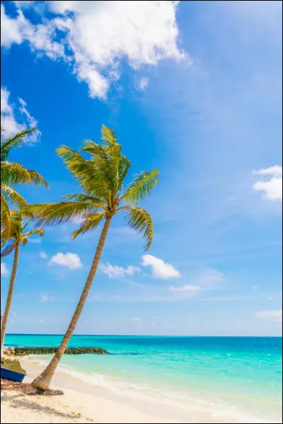 Tu pr&eacute;f&egrave;res vivre :