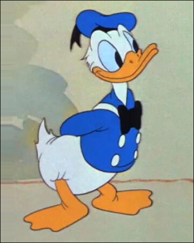 De quelle espèce est Donald ?