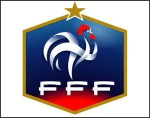 Grce  quel joueur la France s'est elle qualifie  la coupe du monde 2010 ?