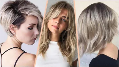 Quel type de cheveux avez-vous ?