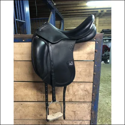 Sur l'image la selle est une selle de...