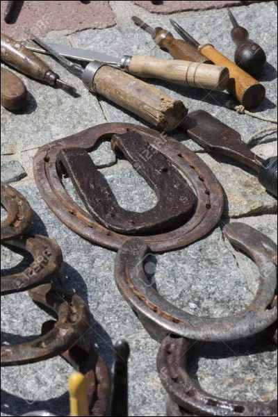 On change les fers d'un cheval toutes les ... semaines environ.