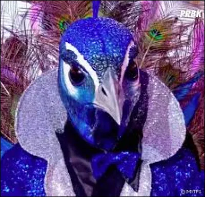 C'était le paon qui s'est cassé la figure.