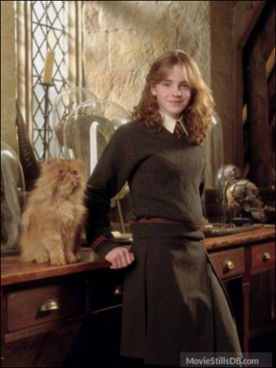 En cinquième année, Hermione, voyant que personne ne s'intéresse à son association se met à agir toute seule :