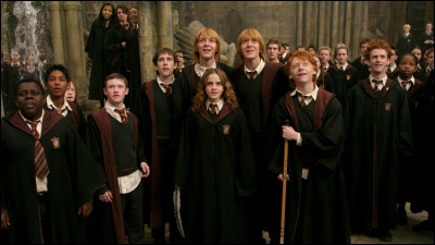 En cinquième année, voyant que le professeur de défense contre les forces du mal est très peu compétent, elle a l'idée de :