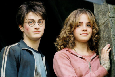 Quel est le nom de son animal ?