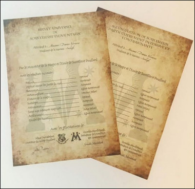 Quel est le résultat des B.U.S.E d'Hermione ?