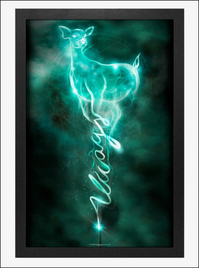 Quel est le patronus d'Hermione ?