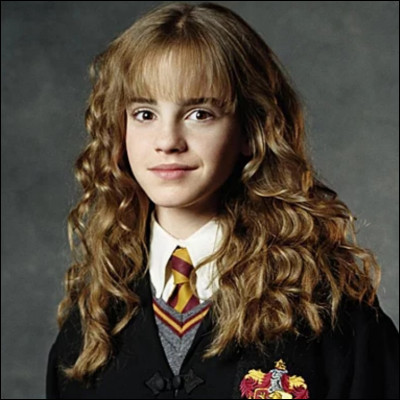 Quelle est la pire insulte qu'on ait lancé à Hermione ?