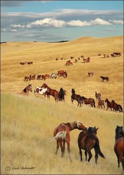 Et combien sont-ils ?