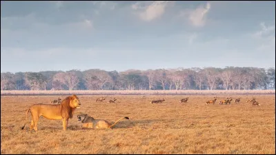 Entre quelles années un conflit sanglant opposa deux partis politiques de ce pays ?