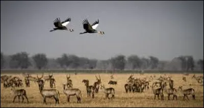 Quel est le nom du lac central de ce parc national ?