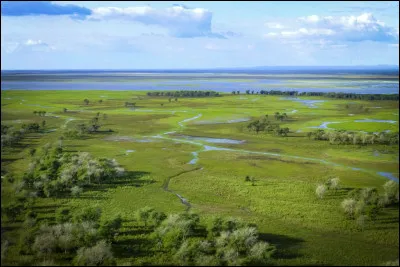 Quelle grande marque de café est engagée depuis décembre 2019 à un programme de soutien aux producteurs de cafés et à une culture plus durable de cette production ?
