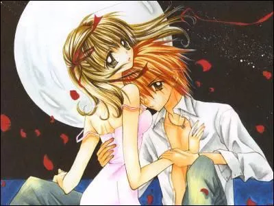 'Les rcits abordent des sujets varis tels que la musique, le sport, l'cole, la mode avec souvent des histoires d'amour en toile de fond'.