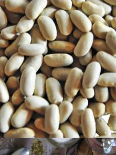 La chape était une pélerine arrivant à mi-bras portée jadis par les ecclésiastiques. Elle avait un autre nom : lequel ?