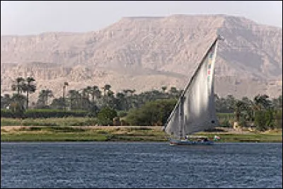 Quel est ce type de bateau à voile utilisé pour des croisières sur le Nil ?