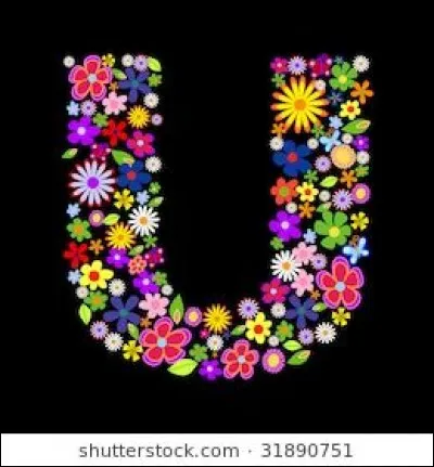 Qu'est-ce qu'un urutu ?