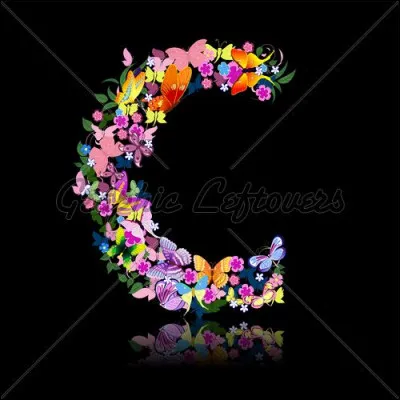 Quel est le fruit du caf&eacute;ier ?