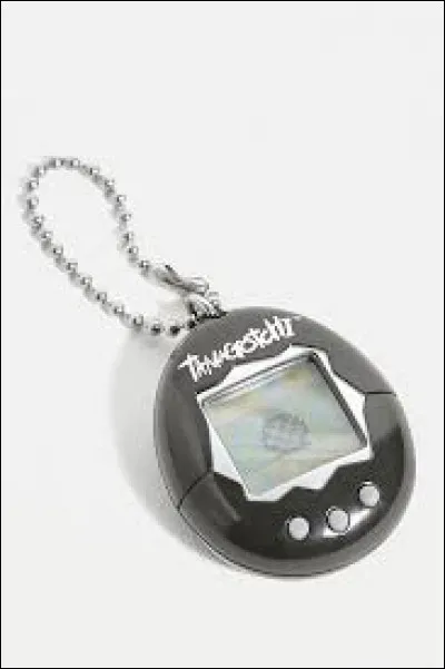 Ce petit objet rond était une sorte de console sur laquelle l'enfant s'occupait d'un animal virtuel. De quoi s'agit-il ?