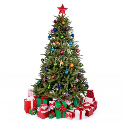 Quel serait ton cadeau de No&euml;l id&eacute;al ?