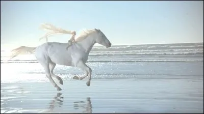 J'ai vu pleurer mon père :