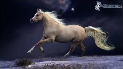 Avait mis dans l'affaire :