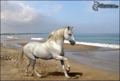 Il avait dans la tête :