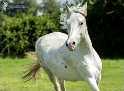 Par un beau dimanche