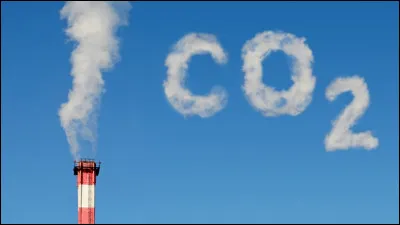 Les muscles ont-ils besoin de dioxyde de carbone pour fonctionner ?