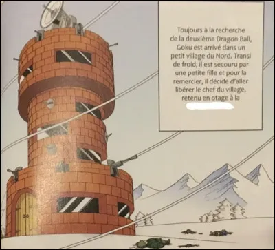 Comment s'appelle cette tour et à qui appartient-elle ?