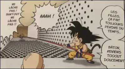 Comment s'appelle le bâton qui appartient à Goku ?