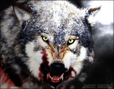 Lequel de ses fils fut transformé en loup pour ensuite tuer son frère ?