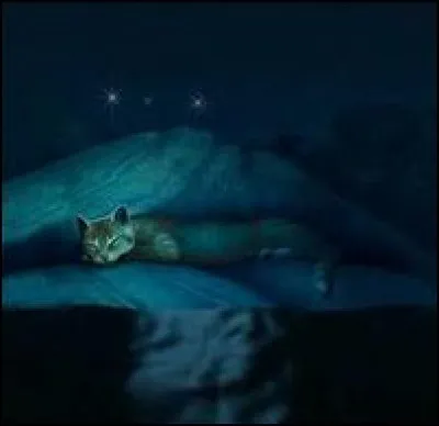 Que découvre-t-elle ?