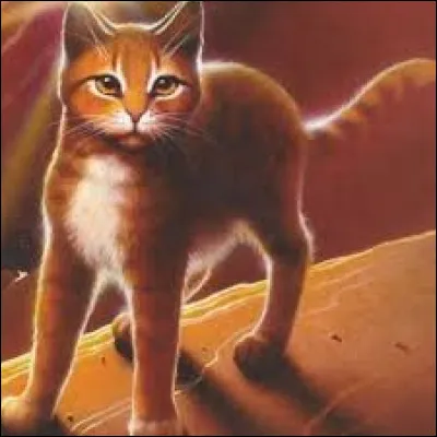 En l'honneur de qui et/ou de quoi a-t-elle reçu son nom ?