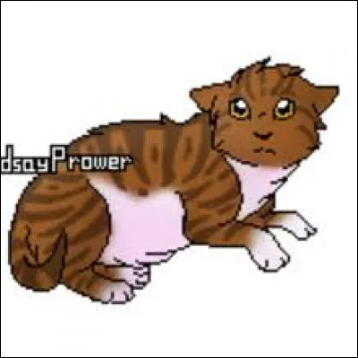 Comment s'appelait-elle quand elle était chaton ?