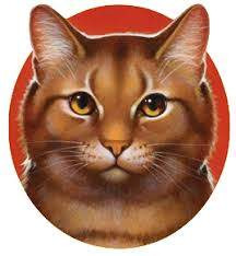 Quiz Erin hunter