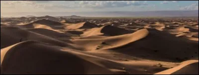 Quel est le plus grand désert chaud du monde ?