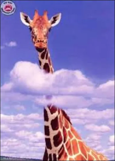 Le 22 mai 2017, son concert à Manchester a été gâché par une crapule dégénérée de l'État islamique...
L'image fait penser à son nom mais je vous demande son prénom :