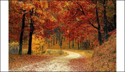 Allemand : Comment dit-on "automne" ?