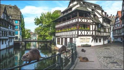 Quelle est la superficie de Strasbourg ?