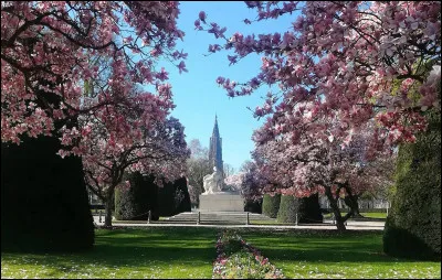 Quel fleuve ou quelle rivière traverse Strasbourg ?