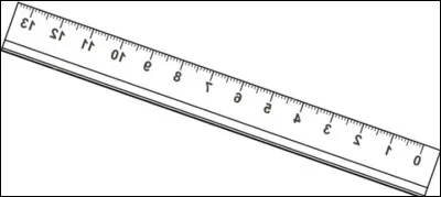 Quelle est la longueur du rhinocéros blanc ?