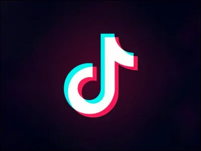 Sur ton compte TikTok, tu as...