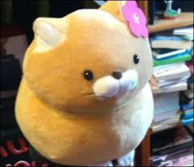 Comment s'appelle cette peluche ?