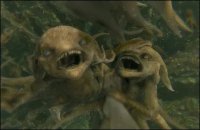 Comment s'appelle cette cr&eacute;ature sous-marine ?