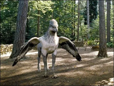 Comment s'appelle cette cr&eacute;ature ?