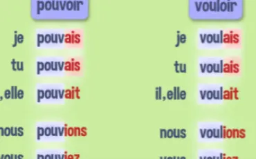 Quiz Conjugaison