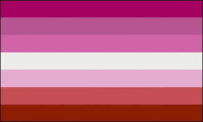 Celui-ci, c'est le drapeau de la fierté...