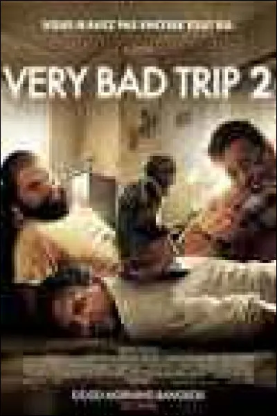 Après une nuit d'ivresse , qu'arrive-t-il à Stu et Allan ?