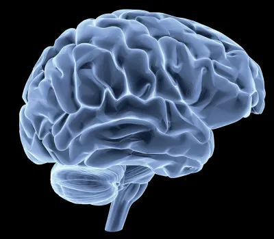 À quel point es-tu intelligent ?